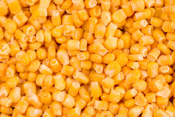 Frozen corn yellow background close up grain. Studio shot