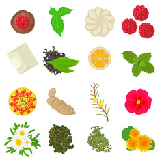 Herbal seasoning icons set. Cartoon set of 16 herbal seasoning vector icons for web isolated on white background