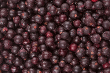 frozen black currant berries, top view, macro