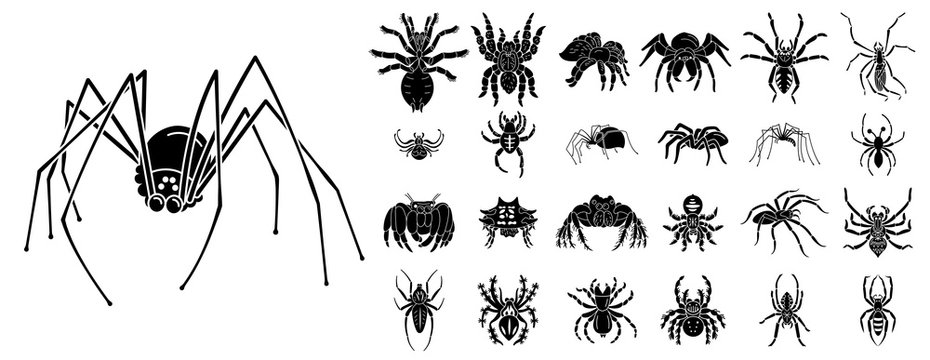 Spider icons set. Simple set of spider vector icons for web design on white background