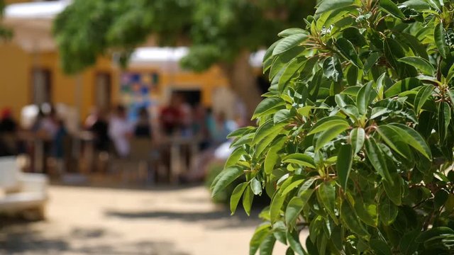 At the village square people sit in a restaurant on the small Spanish island of Tabarca. In the foreground green leaves sharp and in the background the people with soft bokeh.