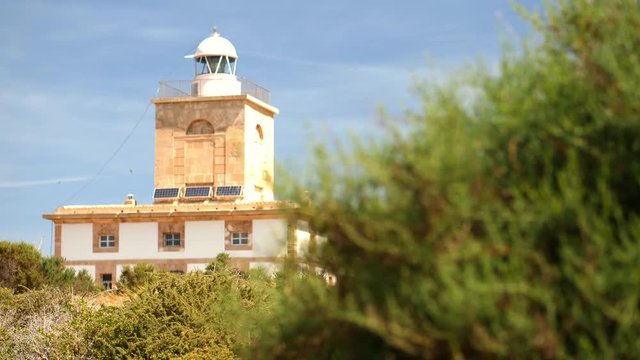 The lighthouse of the small island Tabarca in the sunlight at blue sky. In the foreground a bright green bush. A shift of focus from the bush to the lighthouse.