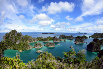 Fototapeta na wymiar Amazing Asia - Nature Reserve - Raja Ampat National Park. Papua - Lost Paradise.