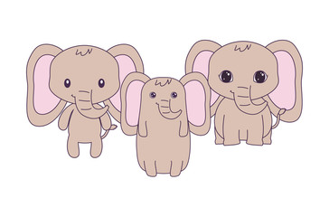 cute elephants animals isolated icon