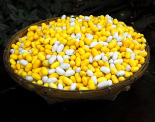 Basket with silk cocoons in two colors, Bangkok, Thailand