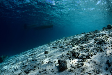 Underwater background. Clear blue ocean. Half water, split. Diving, snorkeling, swimming. Tulamben, Bali, Indonesia.
