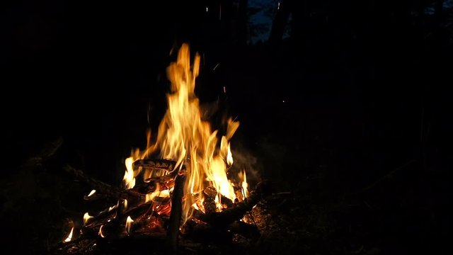 Fire in a fireplace. Burn fire with wood and legs outdoor. Campfire in the night forest while camping