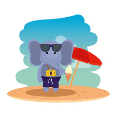 elephant with photographic camera and ice cream on the beach