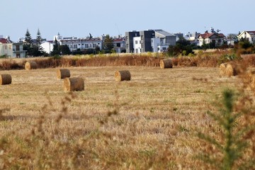Fototapeta na wymiar Autumn field of hay background
