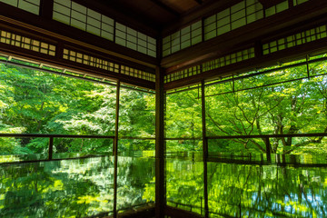 瑠璃光院 逆さ新緑 (日本庭園, 寺社)