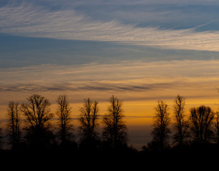 Fototapeta premium Trees and Sunset sky