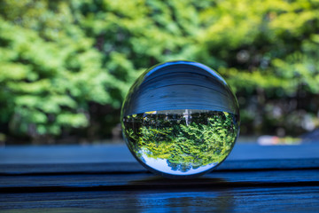 水晶越しに見た日本庭園