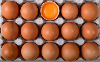 Many brown chicken eggs and one with broken shells and a bright yolk in the nests of the carton