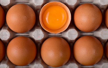 Six brown chicken eggs in the nests of the carton with chopped shells and orange yolk