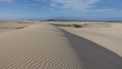 Patterns in the sand in the Natural park in Corralejo Fuerteventura Spain
