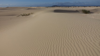Patterns in the sand in the Natural park in Corralejo Fuerteventura Spain