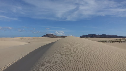 Fototapeta na wymiar Patterns in the sand in the Natural park in Corralejo Fuerteventura Spain