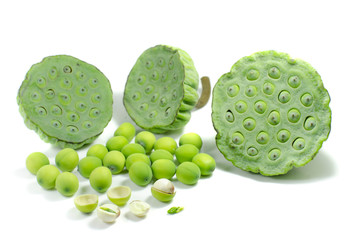 lotus seeds isolated on white background