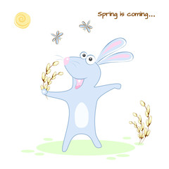 Rabbit rejoices spring