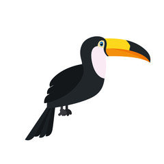 beautiful toucan on white background