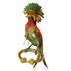 Fototapeta premium bird of paradise