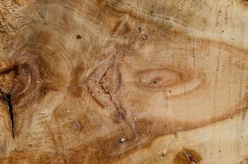 The texture of the wooden board, with a clear cut pattern