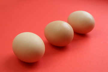 chicken eggs are on a red background
