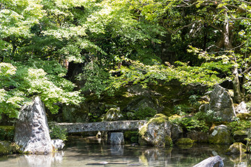 日本庭園と枯山水 回遊式庭園 京都 Wall Mural Wallpaper Murals Sands