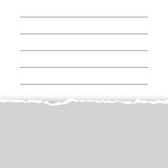 Gray torn paper. Preparation for an inscription, a cover, registration, design.Torn paper with copy space for your text. Illustration.