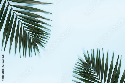 Removable Water-Activated Wallpaper Palm Fronds Leaves Blue Tropical Summer Palm