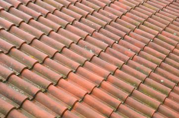 New roof with wet ceramic tiles