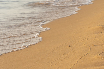 Tiny crab on the sand at peaceful beach