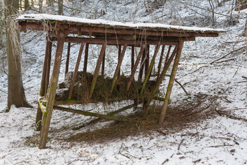 Feeder with  hay for forest wild animals for winter in snowy forest.