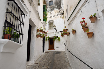Whitewashed walls with clay pots of geranium flowers in Arcos de la Frontera Spain © Reimar