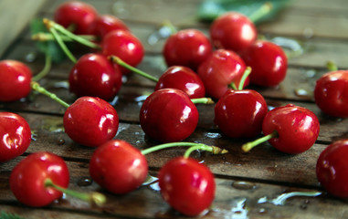 red cherries with water drops and cherry leaves