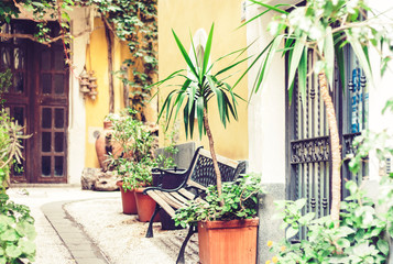 Bench and plants in tubs in the courtyard of the house in Catania, Sicily, Italy