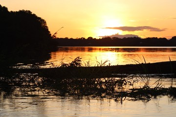 sun
