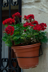 La Puebla de Arganzon, Treviño (Burgos)/Spain; 29-05-2019: Tower of the Church of Our Lady of the Assumption