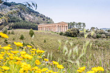 Fototapeta premium Temple de Ségeste, Sicile