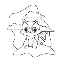 Fototapeta premium cute raccoon animal in landscape natural