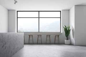 Industrial style white minimalistic bar interior