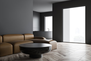 Gray living room and kitchen interior with sofa