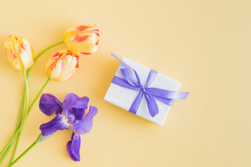 Flat lay composition with yellow tulips, blue irises and gift box with blue ribbon on a yellow background