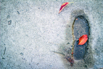 Autumn leaves and water in the imprint of shoes on the path. A simple, solid background leaves a clean space for copyrights, as well as for lengthening, adding text or logo. Copy space. Top view