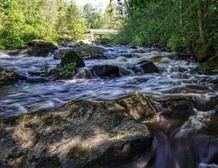 stream in forest