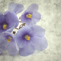 Obraz premium old paper background