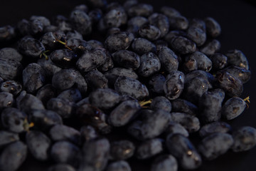 Ripe honeysuckle berries against black backdrop,space for text. Dark blue berry background.Concept of healthy and proper nutrition.