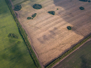 Fototapeta premium Aerial view of a green agricultural field and meadows with grass and plants separated by a country road in the middle and a strip of windproof trees on a sunny summer day