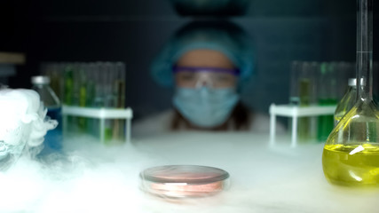 Petri dish with test sample in fridge in front of researcher, cryopreservation