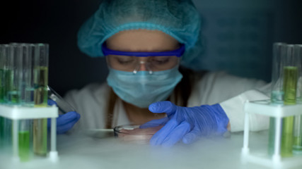 Scientist taking meat sample in petri dish from fridge, infected tissue analysis